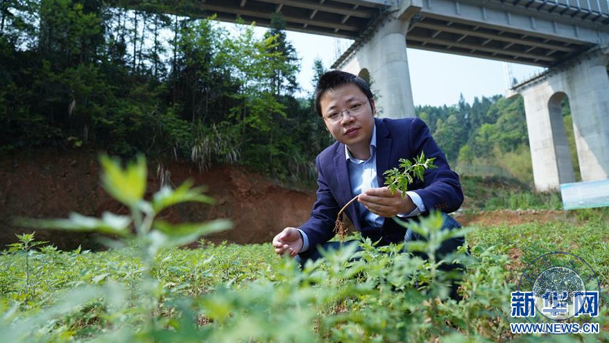 8c6d0cf7e7ae4547b716b886efd7477c.png 8c6d0cf7e7ae4547b716b886efd7477c.png